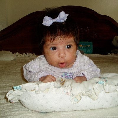 Timeline: sharon's timeline