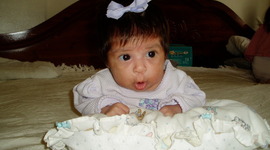 Timeline: sharon's timeline