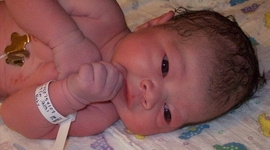 Timeline: Nicholle Kenley Williams