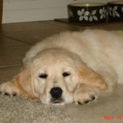 Timeline: Colette Born