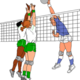 Voleibol