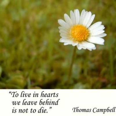 Timeline: Inner Nature