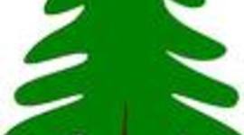 Timeline: Texas Revolution By Kylar