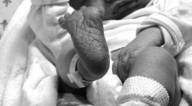 Timeline: Troy Robert LaFlamme