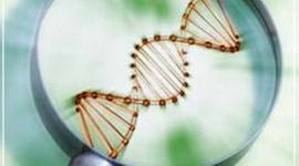 Timeline: Biotechnology Timeline