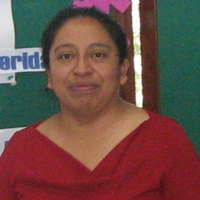 Timeline: Faviola Pérez