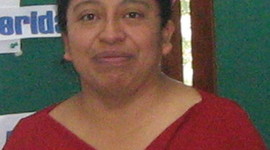 Timeline: Faviola Pérez