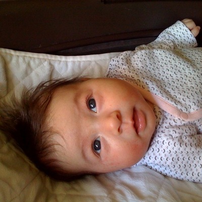 Timeline: Evangeline Shea Snyder