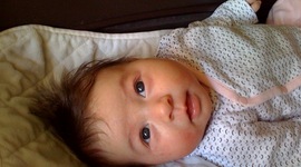 Timeline: Evangeline Shea Snyder