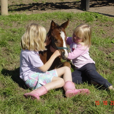 Timeline: Baileys Reading log