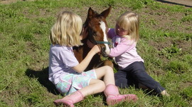 Timeline: Baileys Reading log