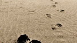 Timeline: Mi línea autobiográfica.