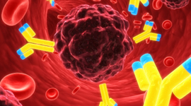 Timeline: Cancer Screenings