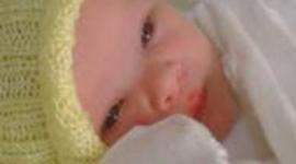 Timeline: Felix Nathaniel