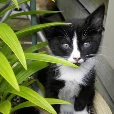 Timeline: Dakotas log