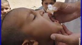 Timeline: Polio