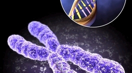 Timeline: The History of Genetics