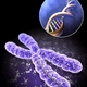 Genetics