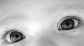 Timeline: Desenvolupament de l'infant