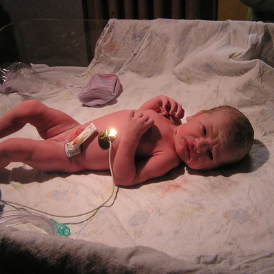 Timeline: Babies...the first two years!