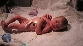 Timeline: Babies...the first two years!