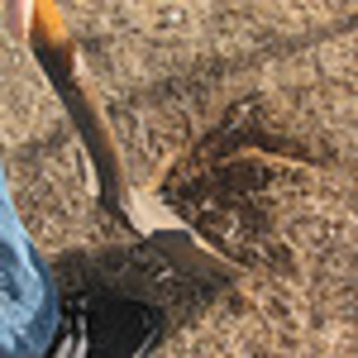 Timeline: decompost dig