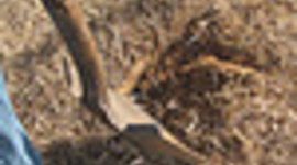 Timeline: decompost dig