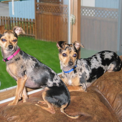 Timeline: How Do You Get Around Alaska