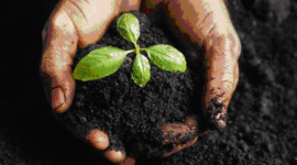 Timeline: Environmental events in the 21st century - Sarah Lowes & Natasha C-Dunn - Feb. 14, 2011