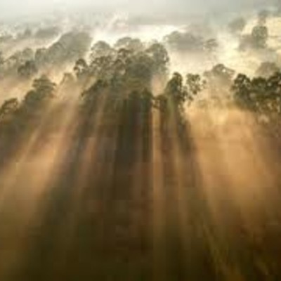 Timeline: Transcendentalism