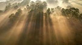 Timeline: Transcendentalism