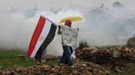 Timeline: The 2011 Egypt Rebellion