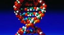 Timeline: DNA THROUGH HISTORY...