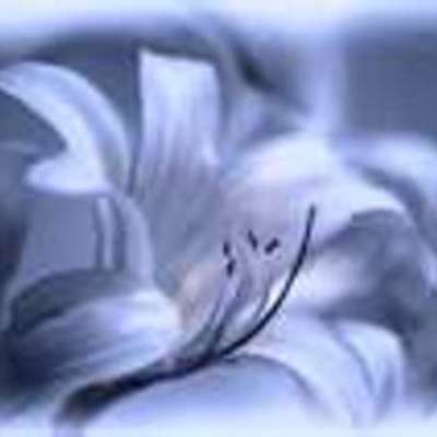 Timeline: Project #9a