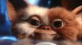 Timeline: The Life of Miss S!