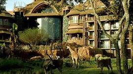 Timeline: My Family Trip to Disney World