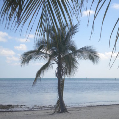 Timeline: My life so far..