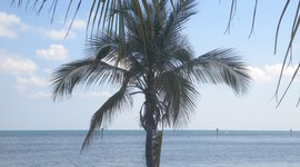 Timeline: My life so far..