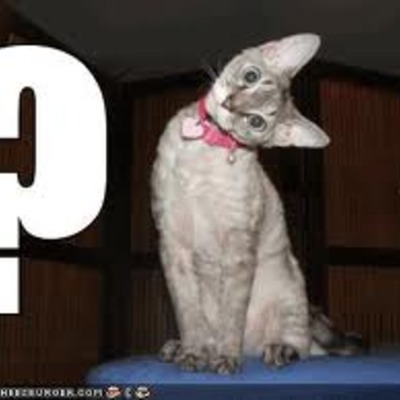 Timeline: Important Stuff