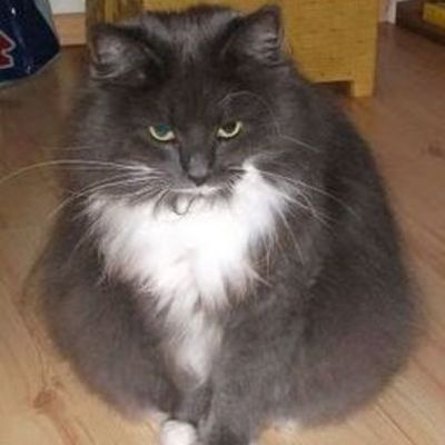 Timeline: Kursuse ajatelg