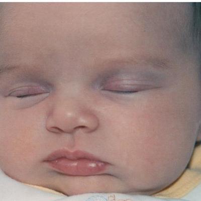 Timeline: Adriana's life