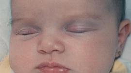 Timeline: Adriana's life