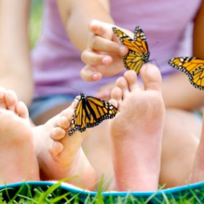 Timeline: Age Appropriate Toys for Young Children