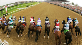 Timeline: Horse Racing