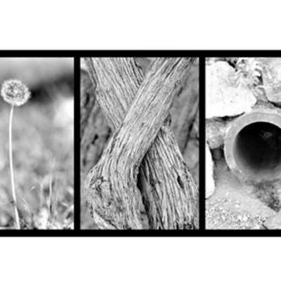 Timeline: Mrs. Dixon's Life