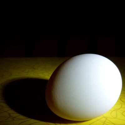 Timeline: Mr. Gustavson -  An Academic and Professional History