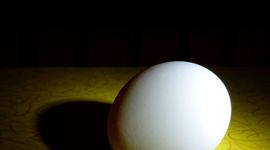 Timeline: Mr. Gustavson -  An Academic and Professional History