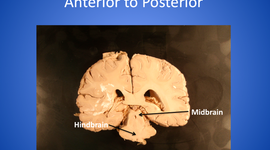 Timeline: EDM310 timeline