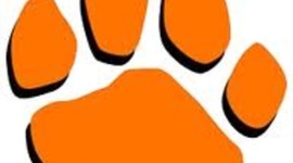 Timeline: Life Timeline