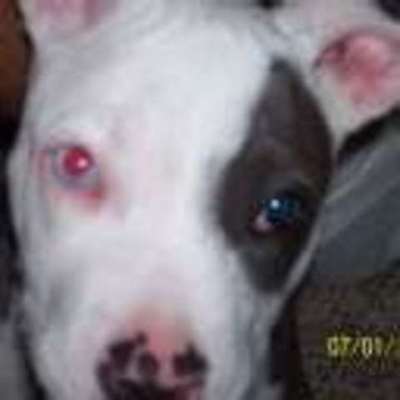 Timeline: ch8 and 10 timeline